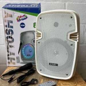 Parlante Hytoshy Fiesta 8"